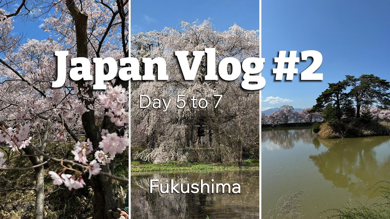 Japan Vlog 2024 ✈️⛩(Day 5 to 7)- Fukushima, Miharu, Alps Azumino, Takato Park, Rokudo Bank, Koboyama