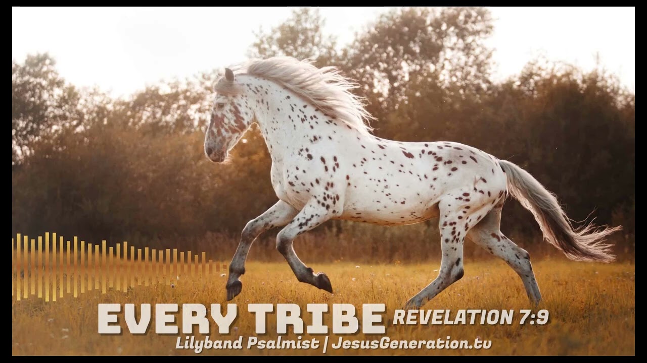 Every Tribe | Prophetic Worship & Intercession | Revelation 7:9
