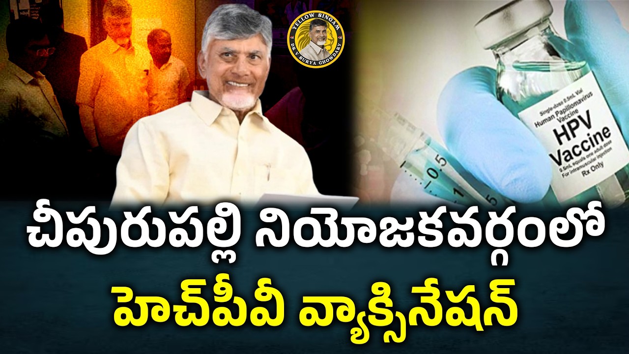 CM Chandrababu LIVE | చీపురుపల్లి నియోజకవర్గంలో హెచ్‌పీవీ వ్యాక్సినేషన్ : Yellow Singam
