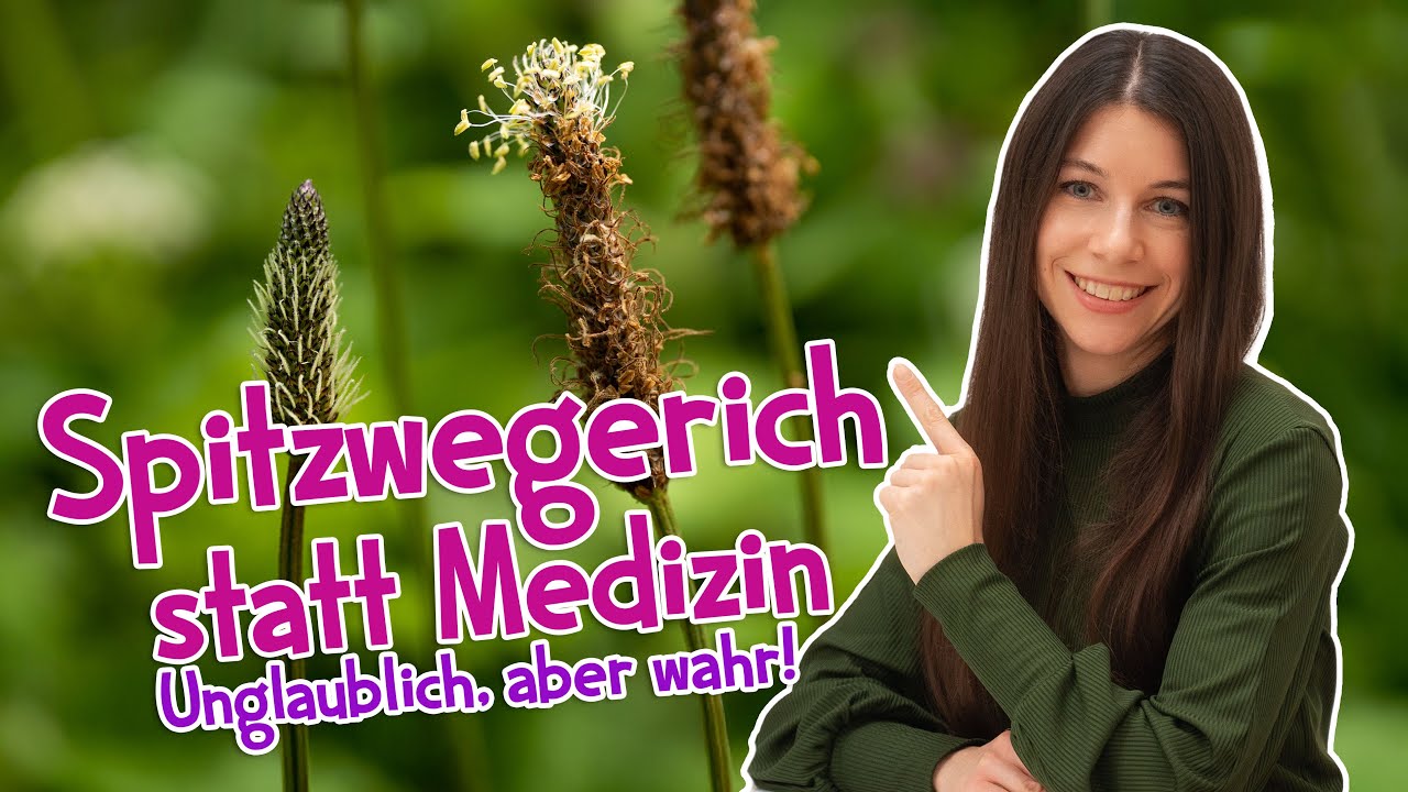 Spitzwegerich-Wunder: Was dir niemand über seine Heilkräfte sagt! 🤯 #wildkräuter #garten