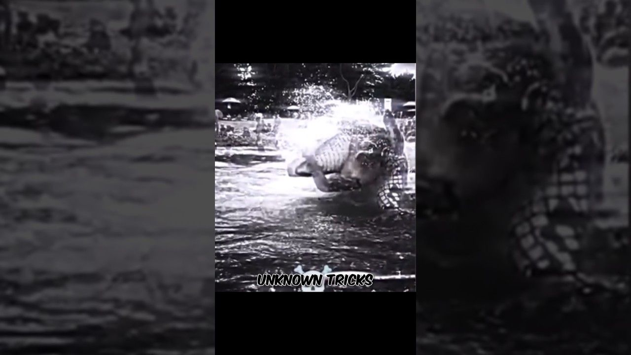 @UnknownTricks.