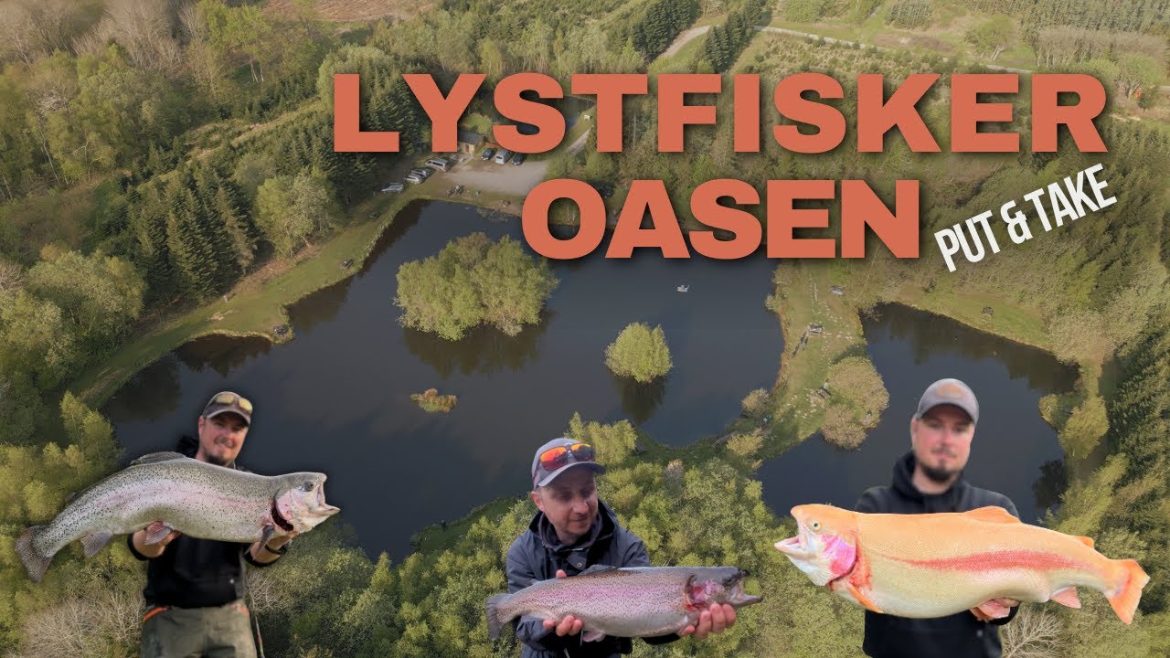 Lystfisker Oasen Put and Take - Guldørred på 4,6kg fanget af Rasmus 