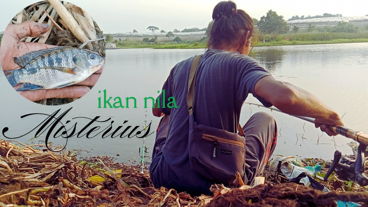 Vlog Piknik Mancing di Wisata Alam Sari: Ada yang Aneh di Belakangku❗