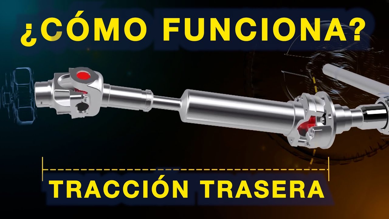 Partes de la tracci&oacute;n trasera: &iquest;C&oacute;mo funcionan?