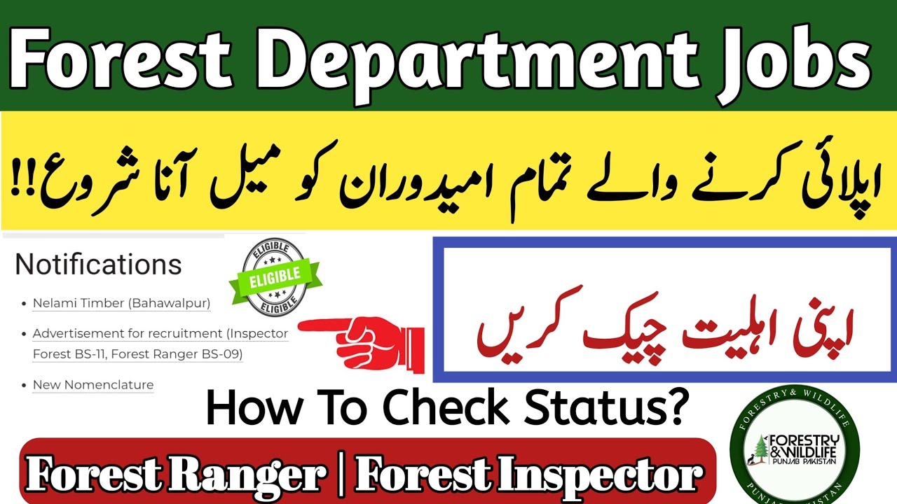Forest Jobs Status Check Krny Ka Tarika | how to check forest Jobs Status | forest Jobs shortlist 