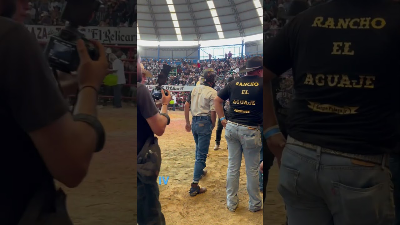 Gorri&oacute;n JR de Nayarit #jaripeo #toros #tradiciones #bullrider #rancho #rodeo