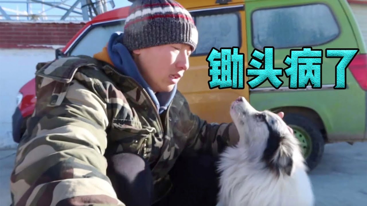 陪我自駕西藏的小狗病了，決定500公里返回拉薩看病，和隊友一一道別以後有緣再聚| 用青春去旅行