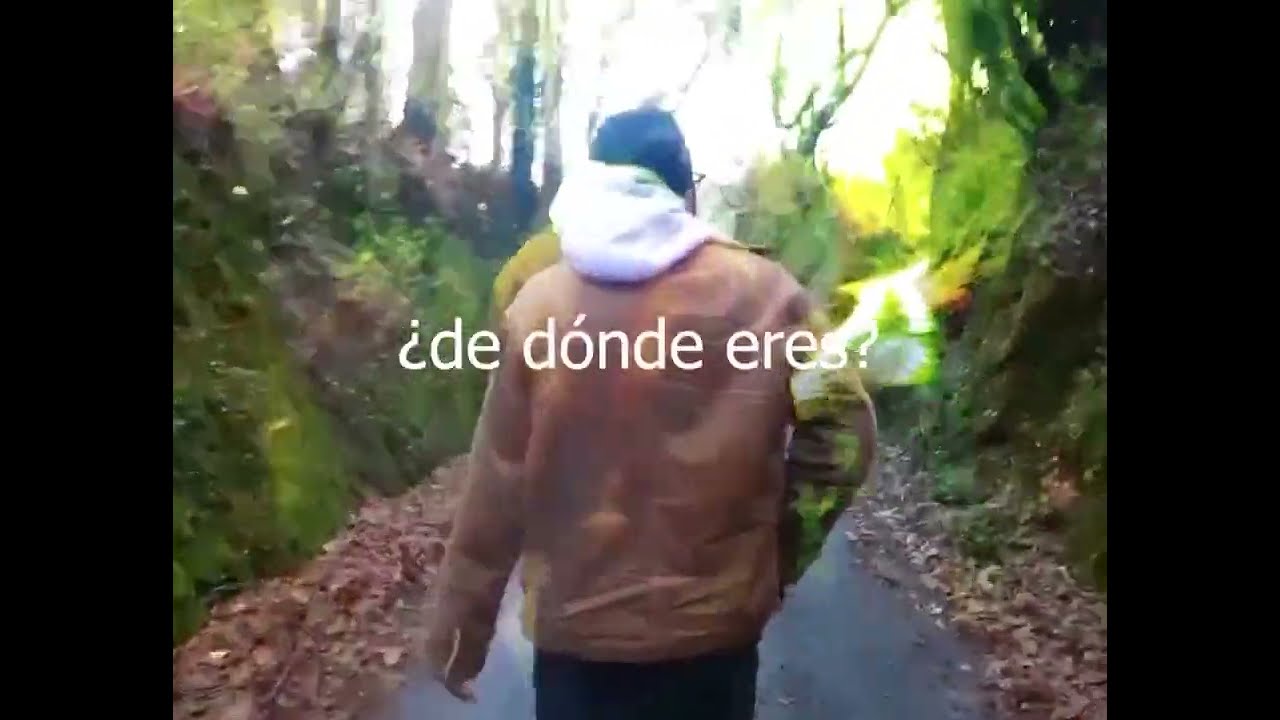(verde) desde las vallas