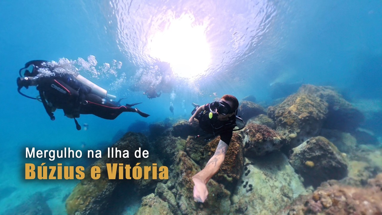 Mergulho nas ilhas de Buzius e Vitória (Ilhabela)