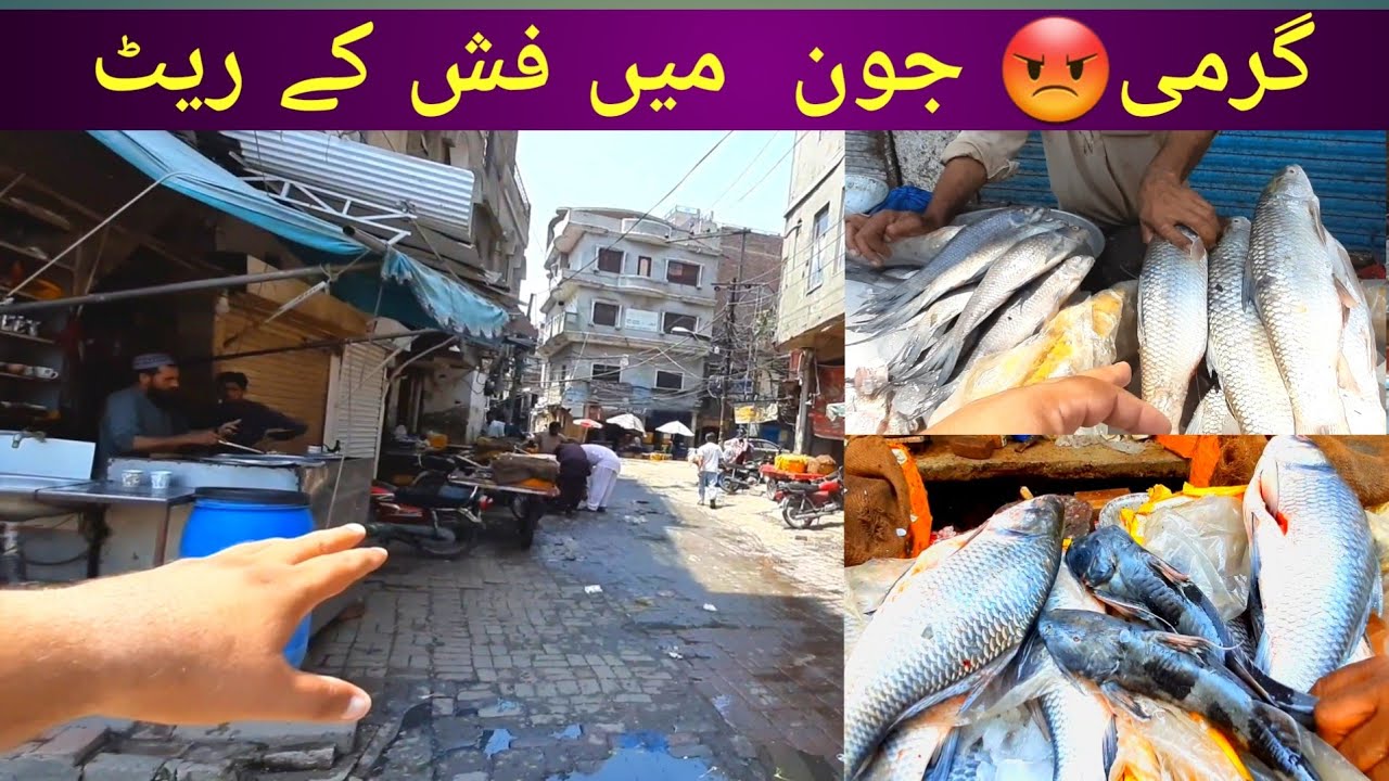 New Rate Fish Market in Lahore Today / Wholesale Fish Market in Lahore