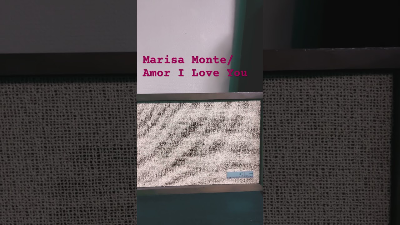 Marisa Monte / Amor I Love You                                                 