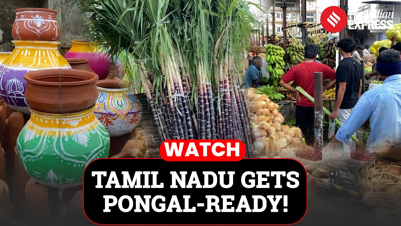 Pongal Fever Grips Tamil Nadu Markets As Demand Of Traditional Items Surge | Pongal Celebrations