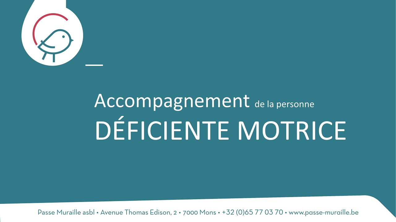 Comment accompagner une personne porteuse d'un handicap moteur ?