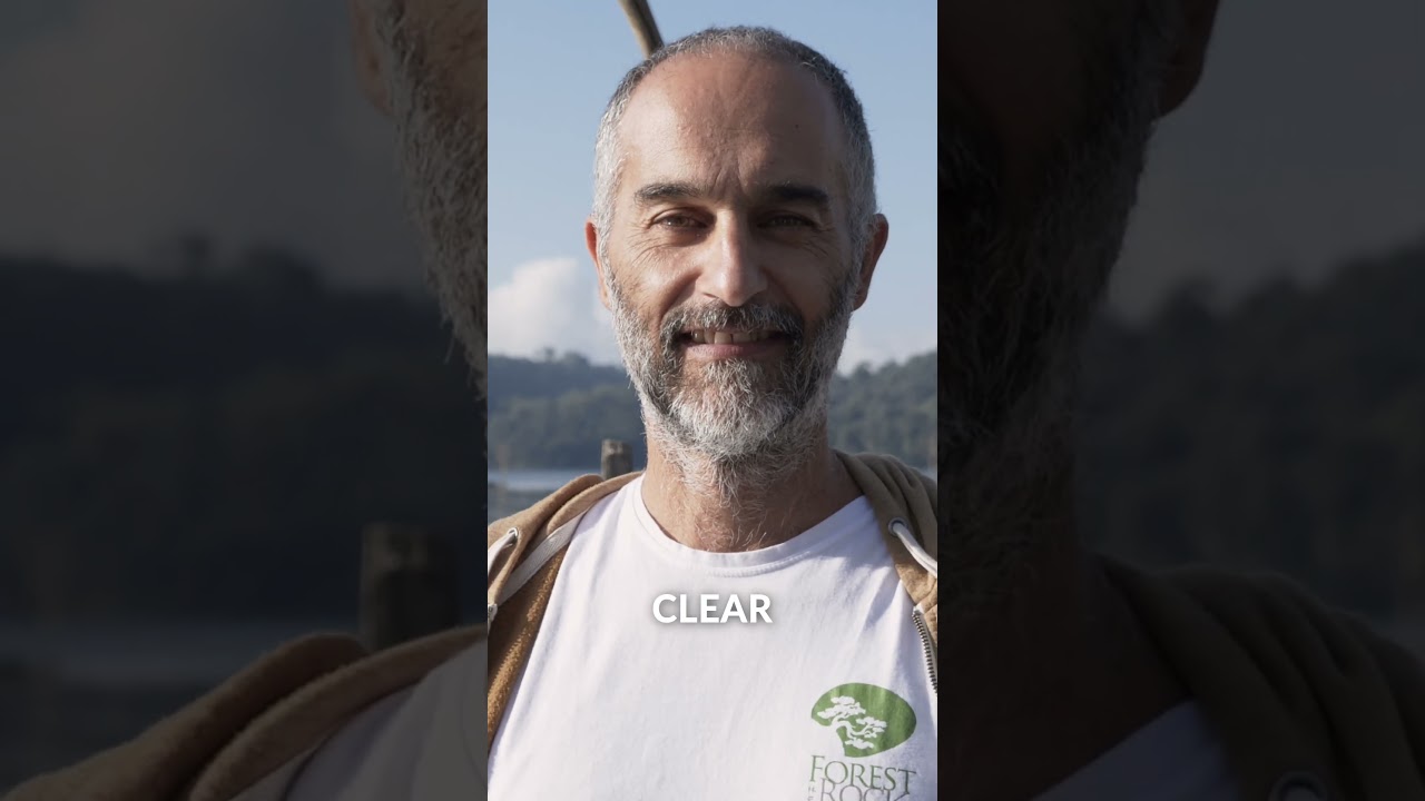 Hear What Joao Has Experienced on Our Qi Gong Teacher Training