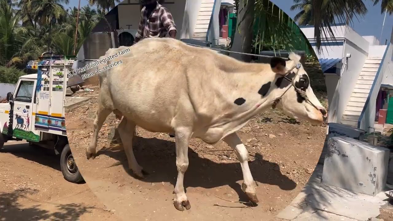 செயல் ஆரம்பிக்கிறது உடனே செஞ்சுடனும் முயற்சி செய்தால் முடியாதுங்கறதே கிடையாது