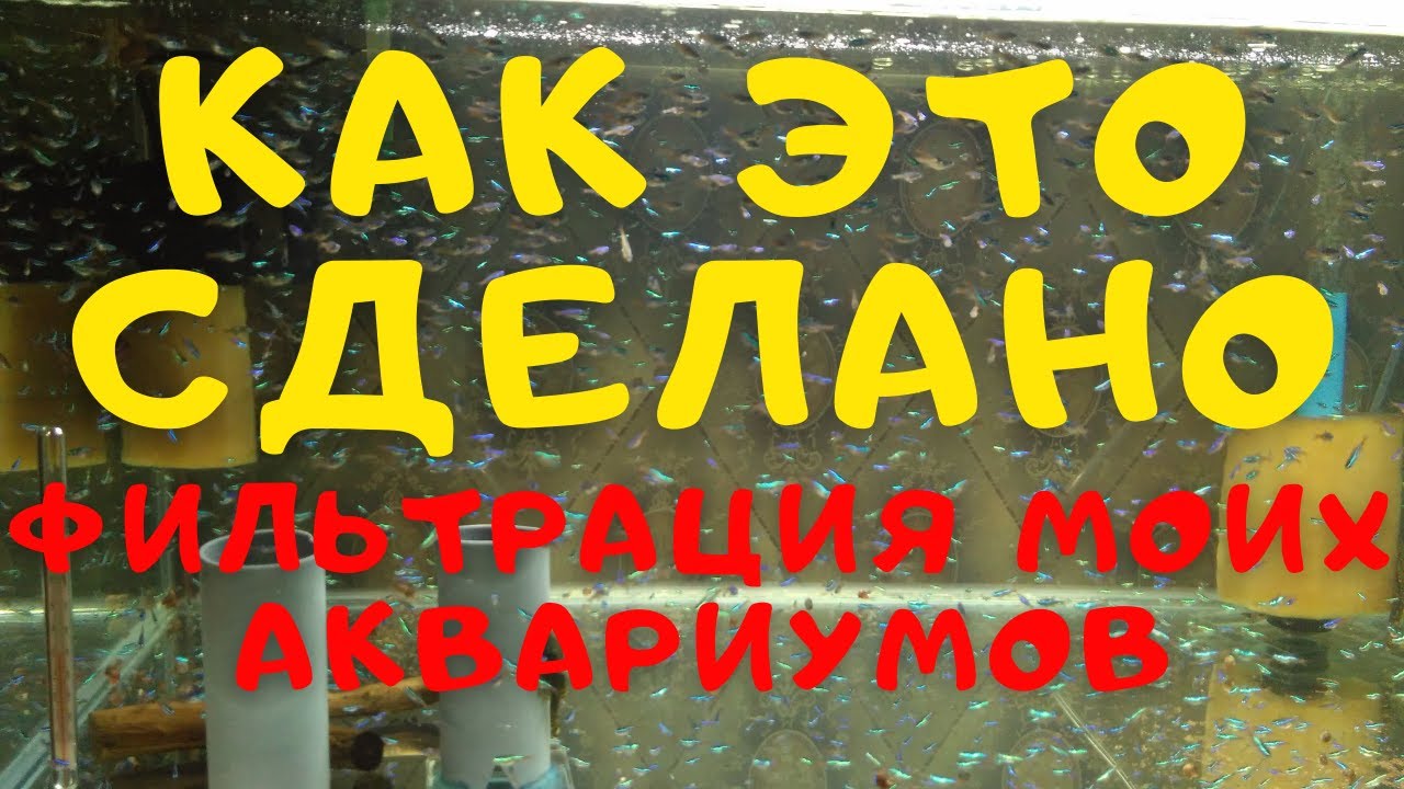 Фильтрация в моих аквариумах. КАК ЭТО СДЕЛАНО и как это работает.