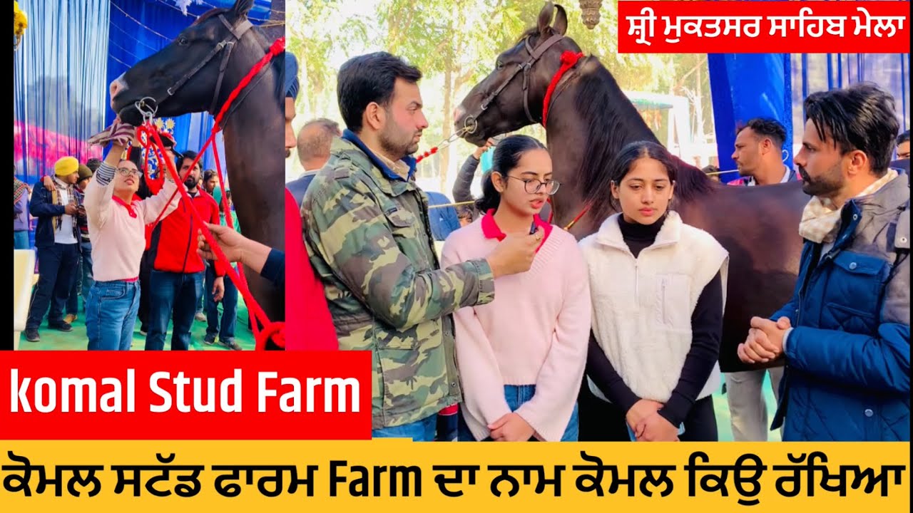 Komal stud farm । ਕੋਮਲ ਸਟੱਡ ਫਾਰਮ ਨਾਮ ਕਿਉ ਰੱਖਿਆ । mukatsar sahib mela । ਘੋੜੀਆਂ ਦਾ ਮੇਲਾ ਮਾਘੀ । horse