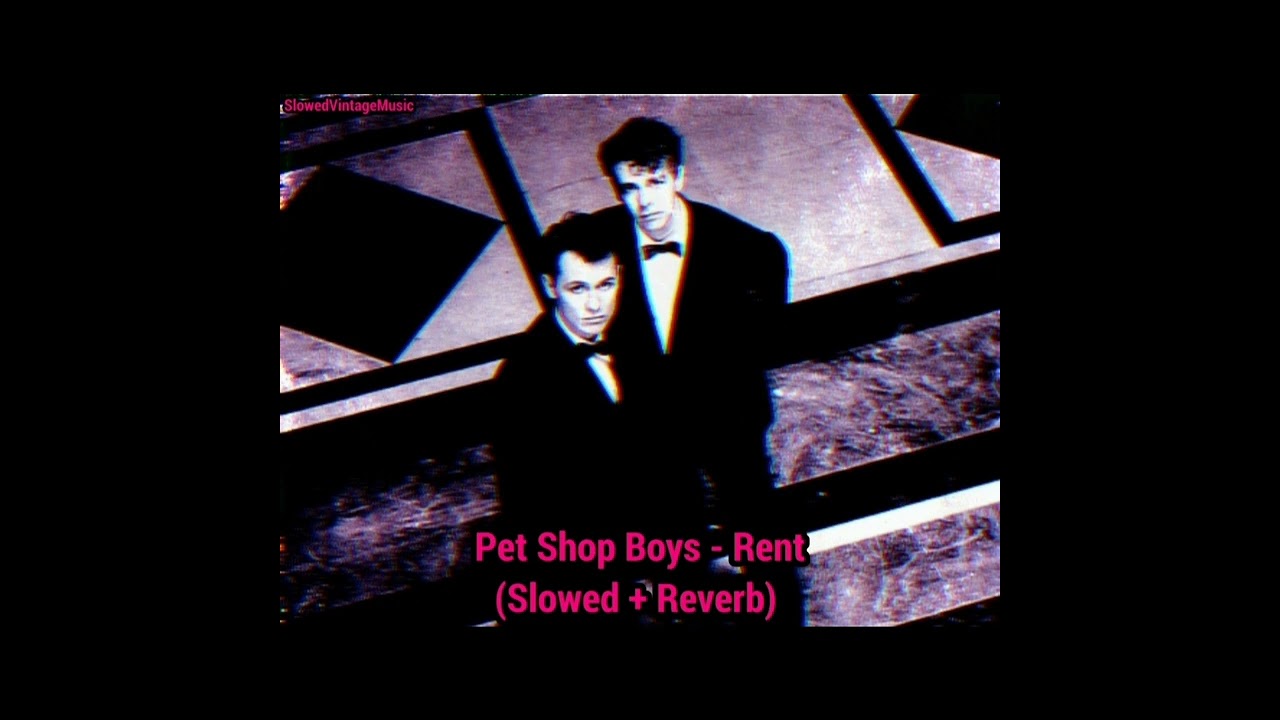 𝗽𝗲𝘁 𝘀𝗵𝗼𝗽 𝗯𝗼𝘆𝘀 - 𝗿𝗲𝗻𝘁 (𝘀𝗹𝗼𝘄𝗲𝗱 + 𝗿𝗲𝘃𝗲𝗿𝗯)