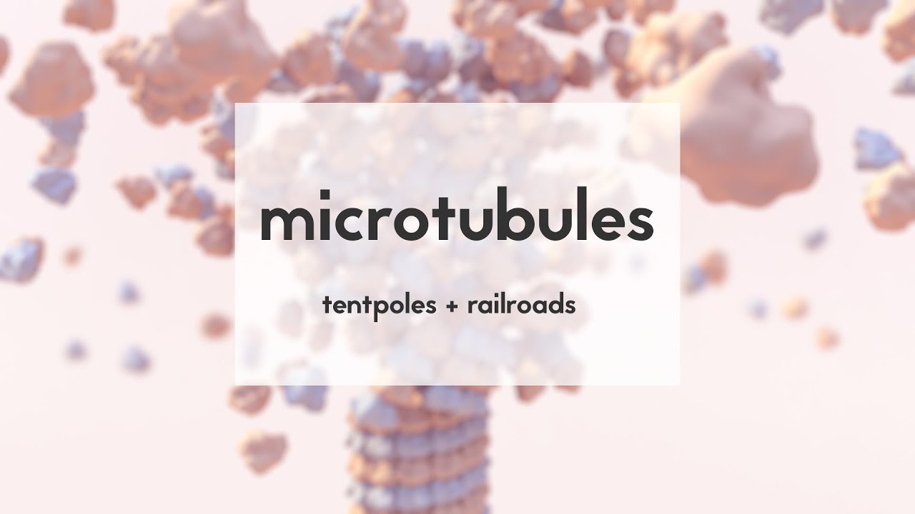 Microtubules: tentpoles & railroads