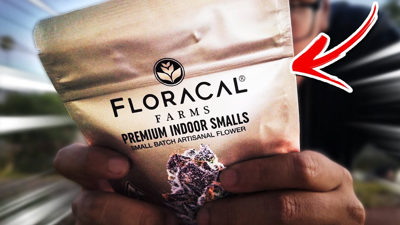 MY FIRST TIME TRYING FLORACAL FLOWER! | FLORACAL PURPLE VENOM SMALLS!