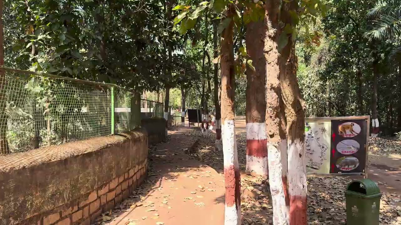 Wandering in Ranchi Zoo, India