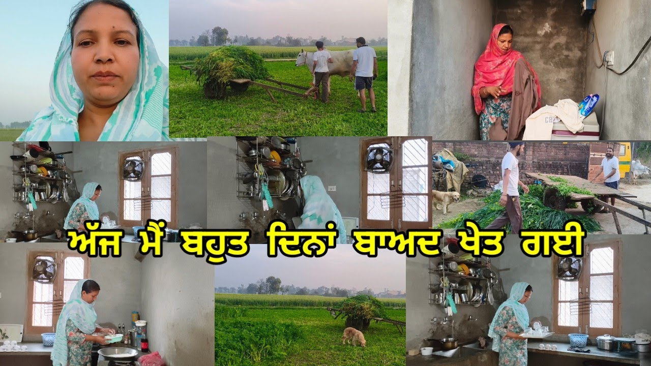ਅੱਜ ਮੈਂ ਬਹੁਤ ਦਿਨਾਂ ਬਾਅਦ ਖੇਤ ਗਈ ਦਿਮਾਗ ਤਾਜ਼ਾ ਤਾਜ਼ਾ ਹੋ ਗਿਆ।
