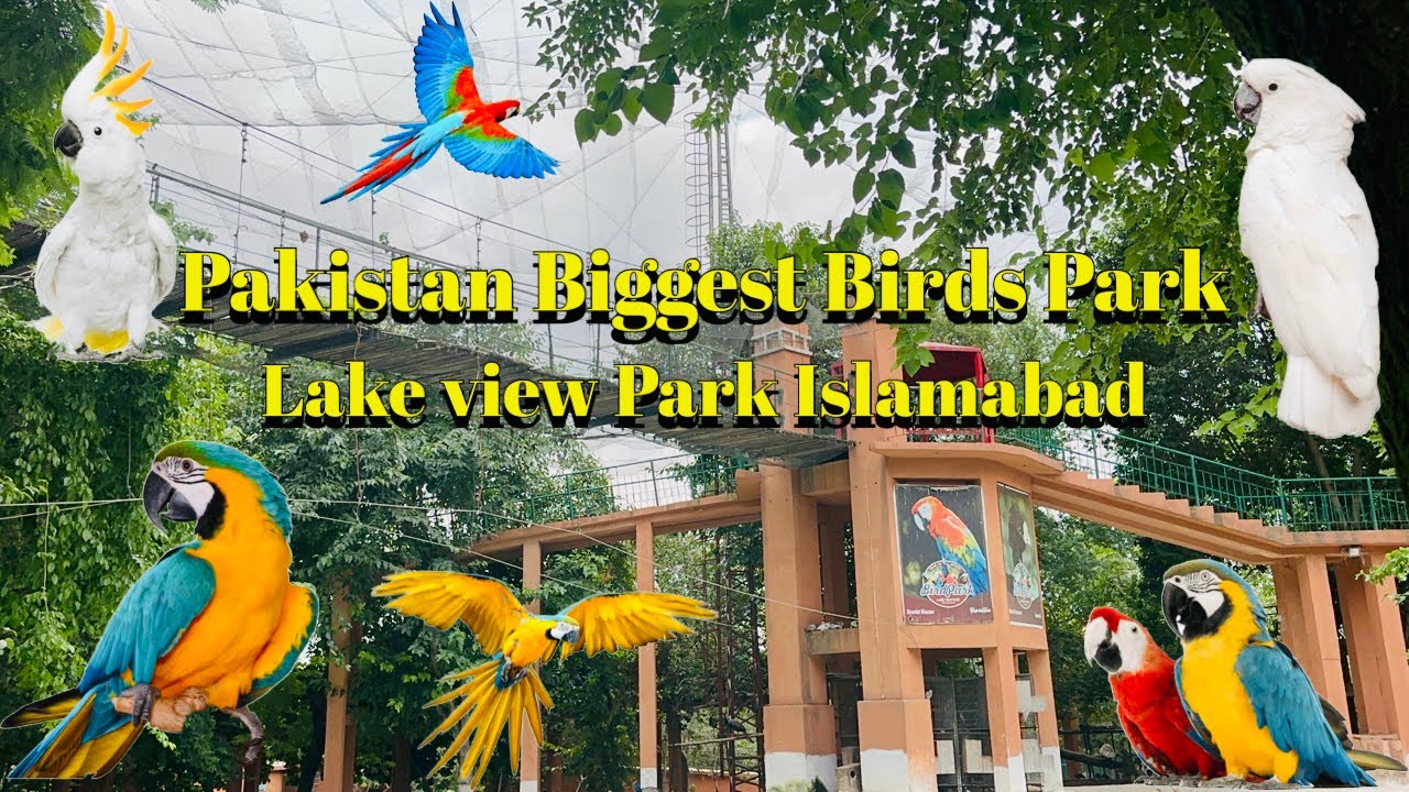 Pakistan's biggest  Birds Aviary/ Lake view park islamabad birds aviary