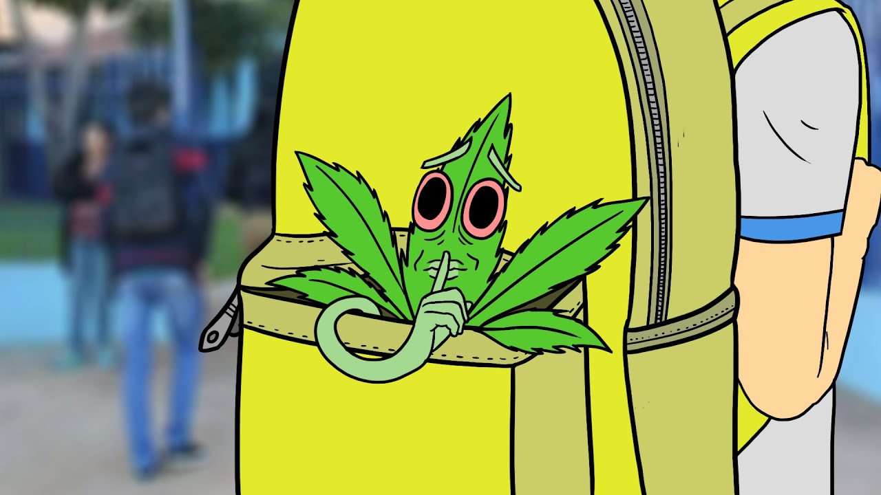 VENDA DE DROGAS NO BANHEIRO DA ESCOLA DO SEU FILHO JA É REALIDADE