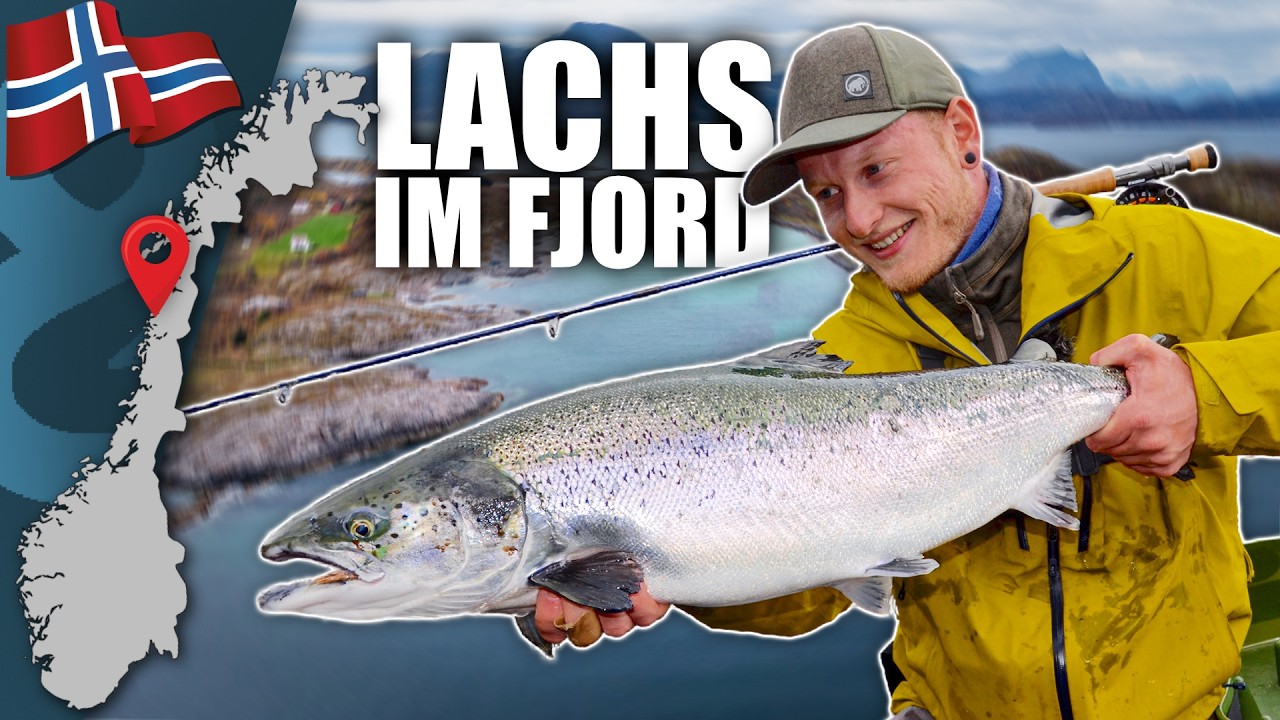 Mit der Fliege auf den K&ouml;nig der Salmoniden 🇳🇴