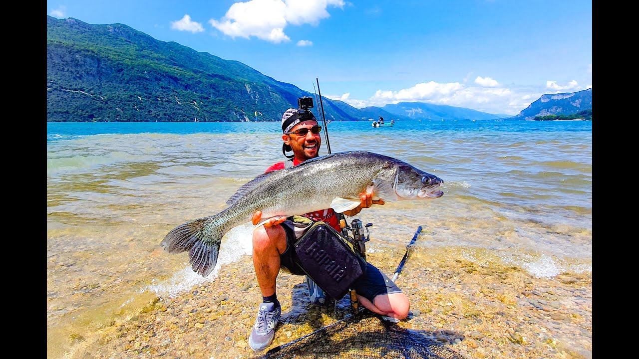 Lac du Bourget,brochets et sandre de 92 cm :)...