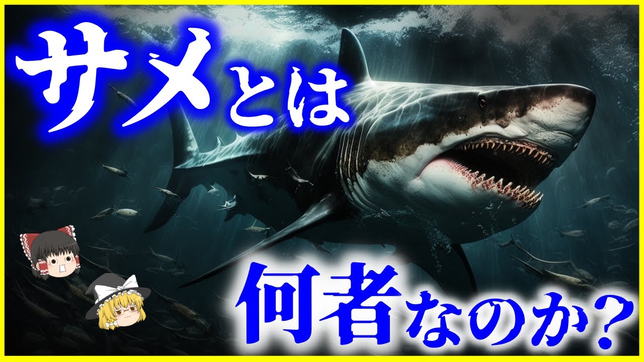 【ゆっくり解説】電気インパルスで感知⁉「サメ」とは何者なのか？を解説/サメの性質と驚くべき感知能力