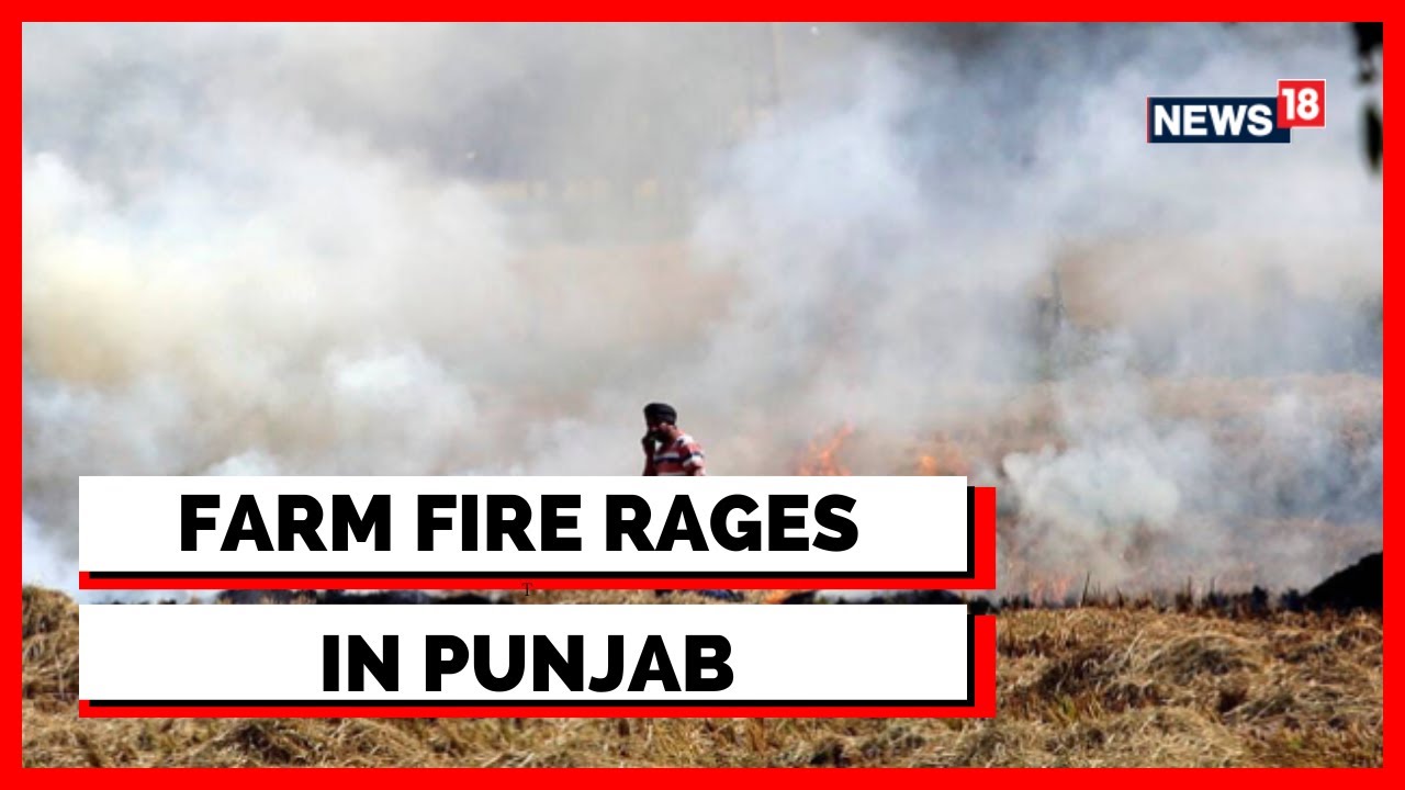 Stubble Burning | Delhi Pollution News  | AQI Worsens In Delhi | Farm Fire | English News | News18