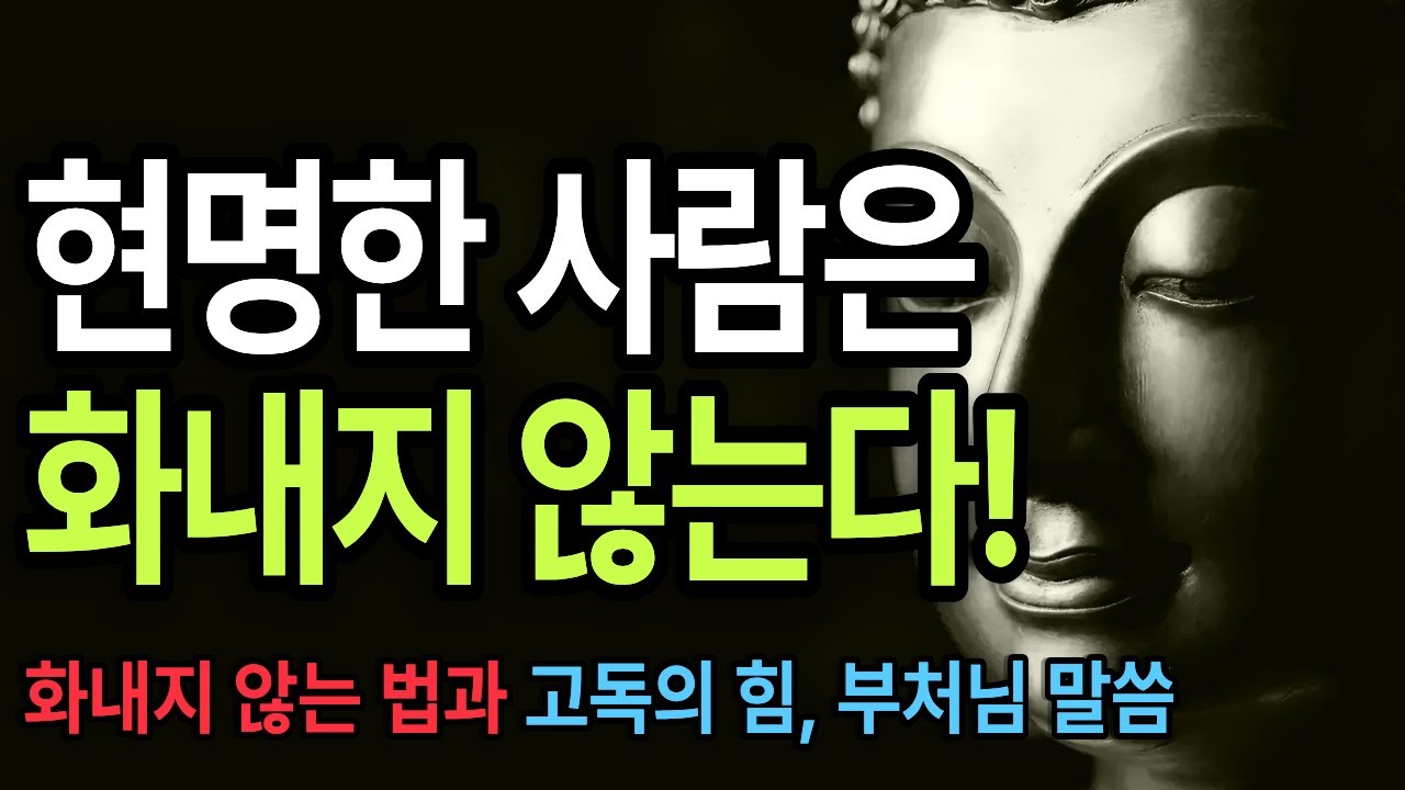 현명한 사람은 결코 화내지 않는다/화내지않는법/반응하지마라/평정심/고독의힘/무소의뿔처럼혼자서가라