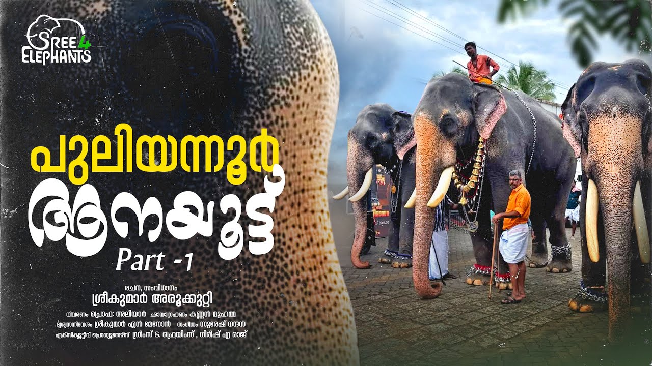 കിരൺ നാരായണൻകുട്ടി പങ്കെടുത്ത അവസാന പരിപാടി..! | Sree 4 Elephants