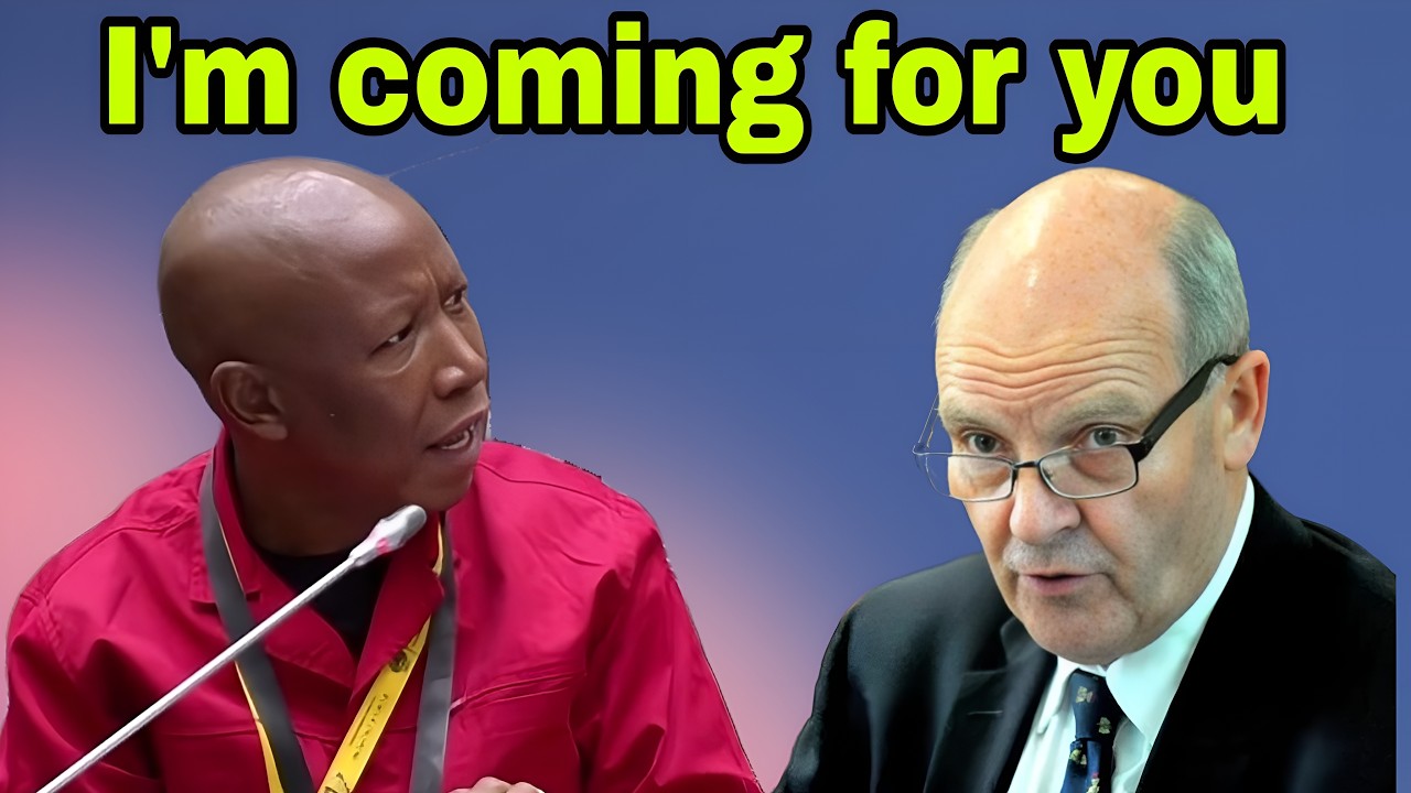 Julius Malema promises to come deal with Paul O'Sullivan at Adhoc Committee.