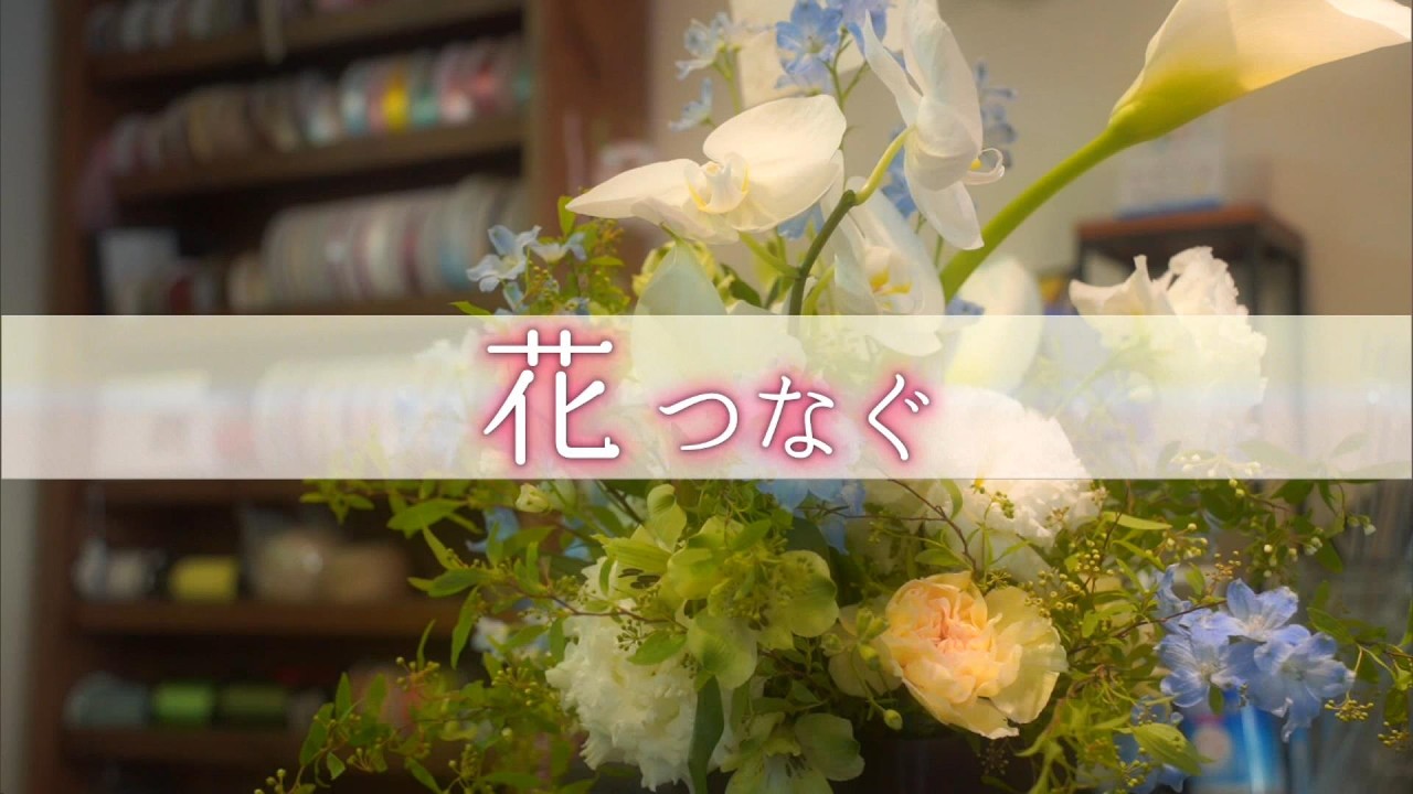【映像コンクール・審査委員長賞受賞】『花つなぐ』 流通現場を支える人たち ～カメラマンリポート～ News＋おやっと！特集(3月12日(木)放送)