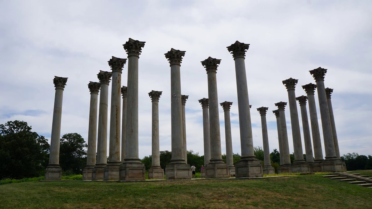 Washington DC #1-National Arboretum