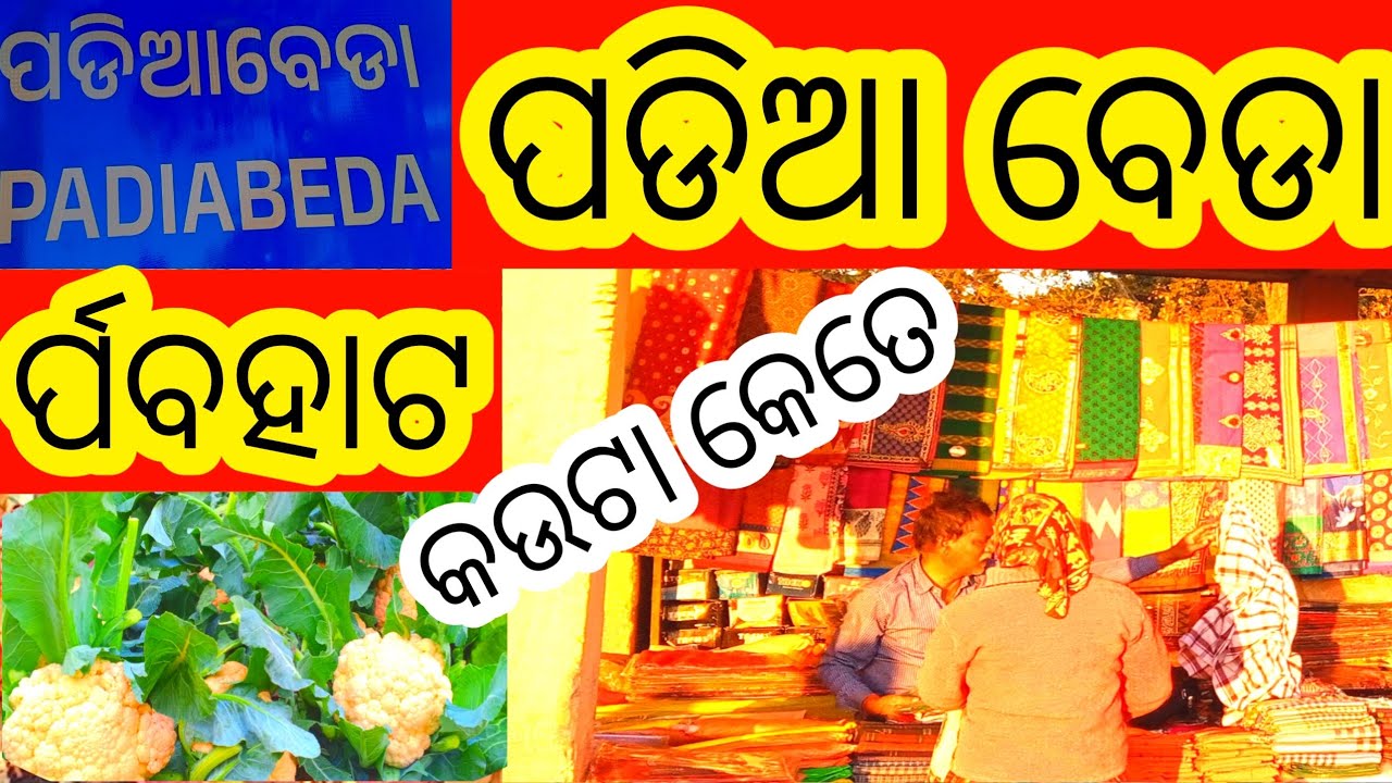 ପଡିଆ ବେଡା ର୍ପବହାଟ#viillage life villaglifstail#villagelifestyle #villagevlog @Banabirvloger 