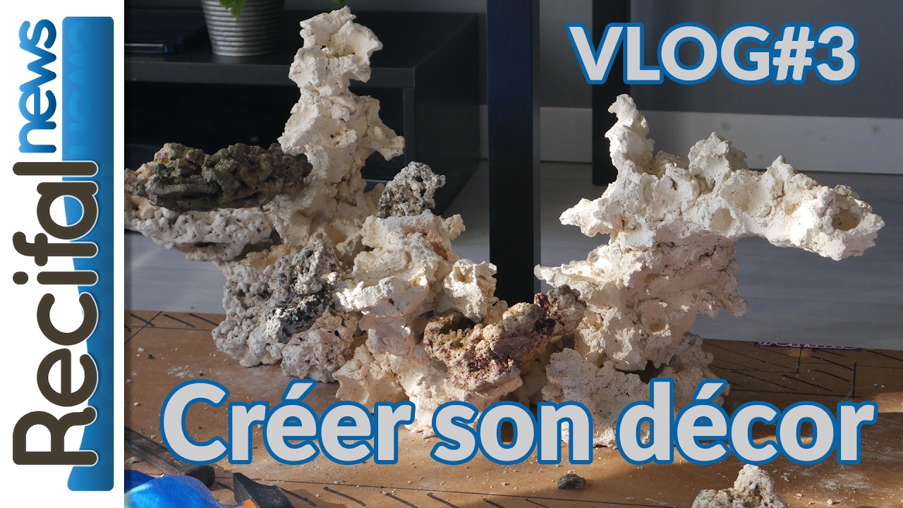 [VLOG#3] Vince Z : créer son décor pour aquarium marin