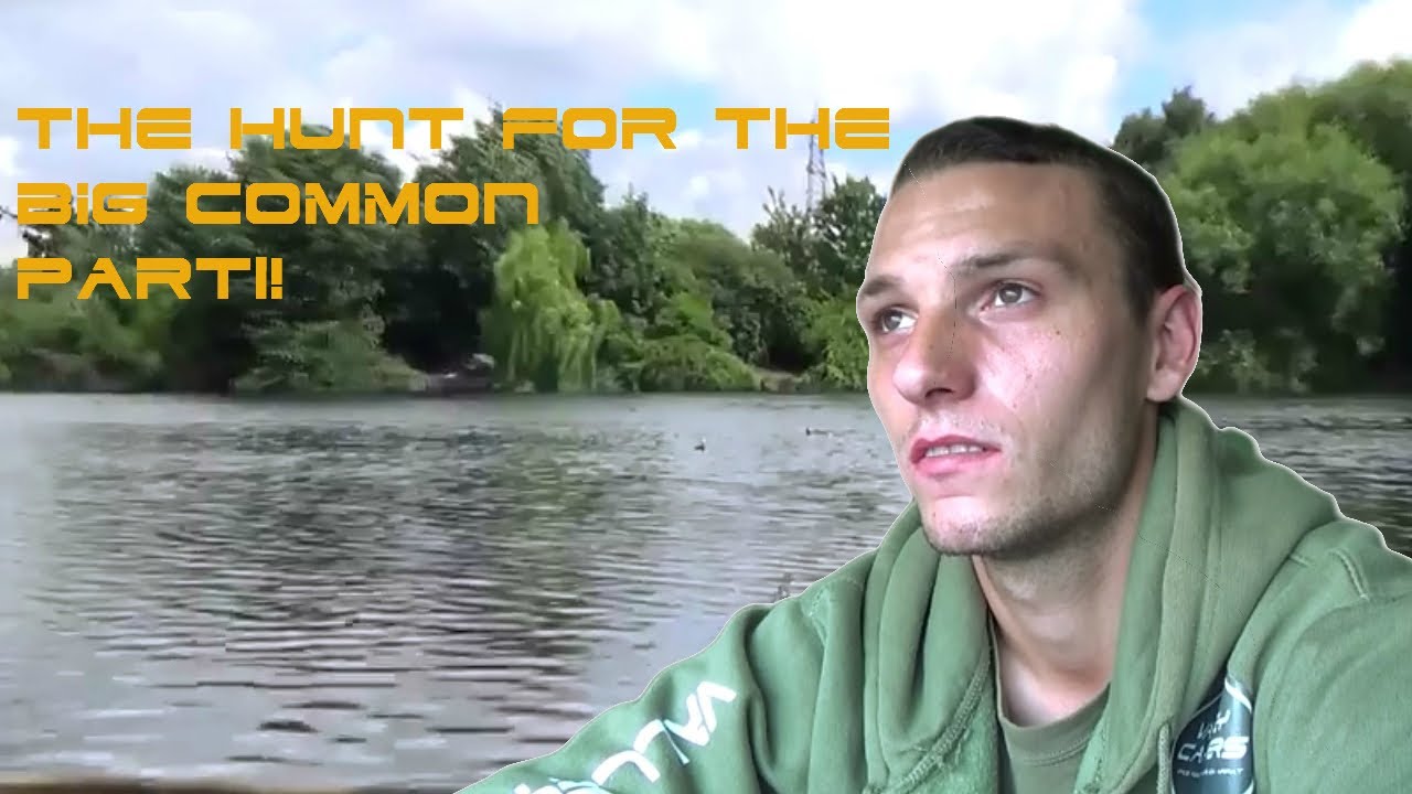 The hunt for the big Common