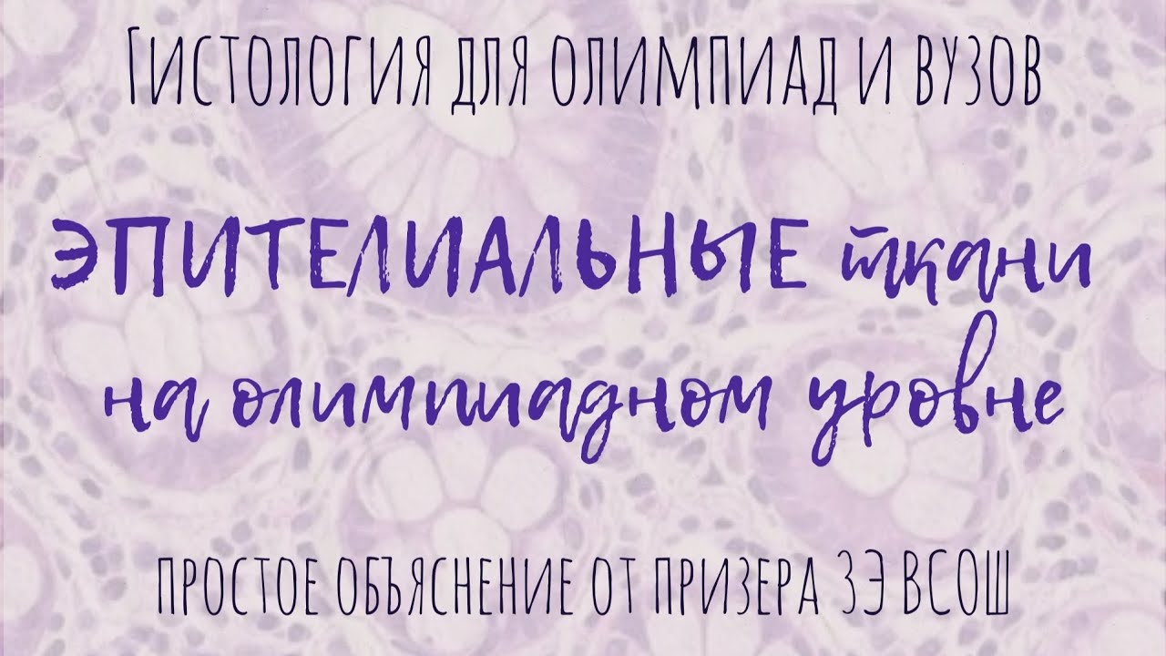 Эпителиальные ткани | гистология - все ткани человека для олимпиад и вузов!