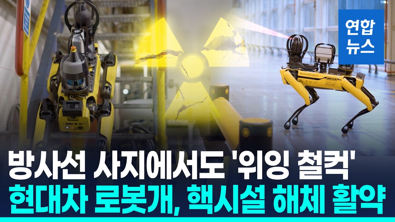 방사선 감별해 '척척'…현대차 로봇개 '스팟', 핵시설 해체 지원 / 연합뉴스 (Yonhapnews)