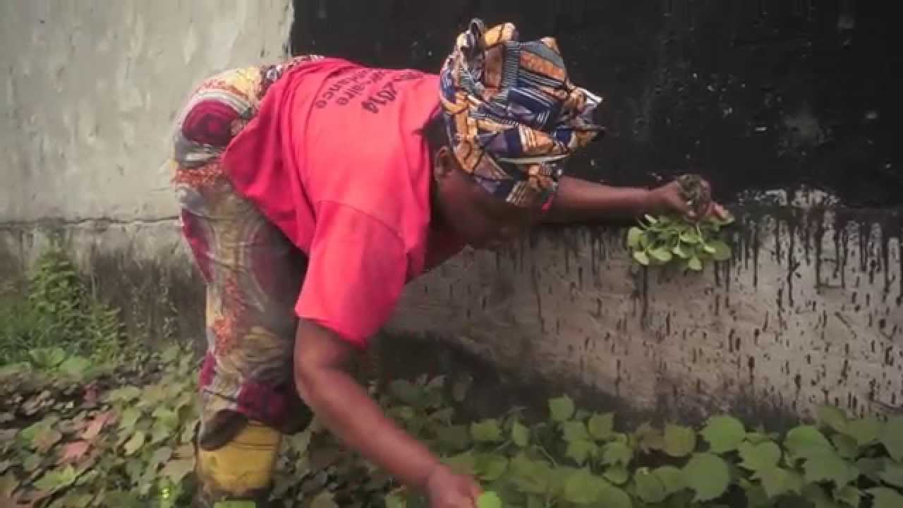 Mama Catherine (Pointe Noire - République du Congo)