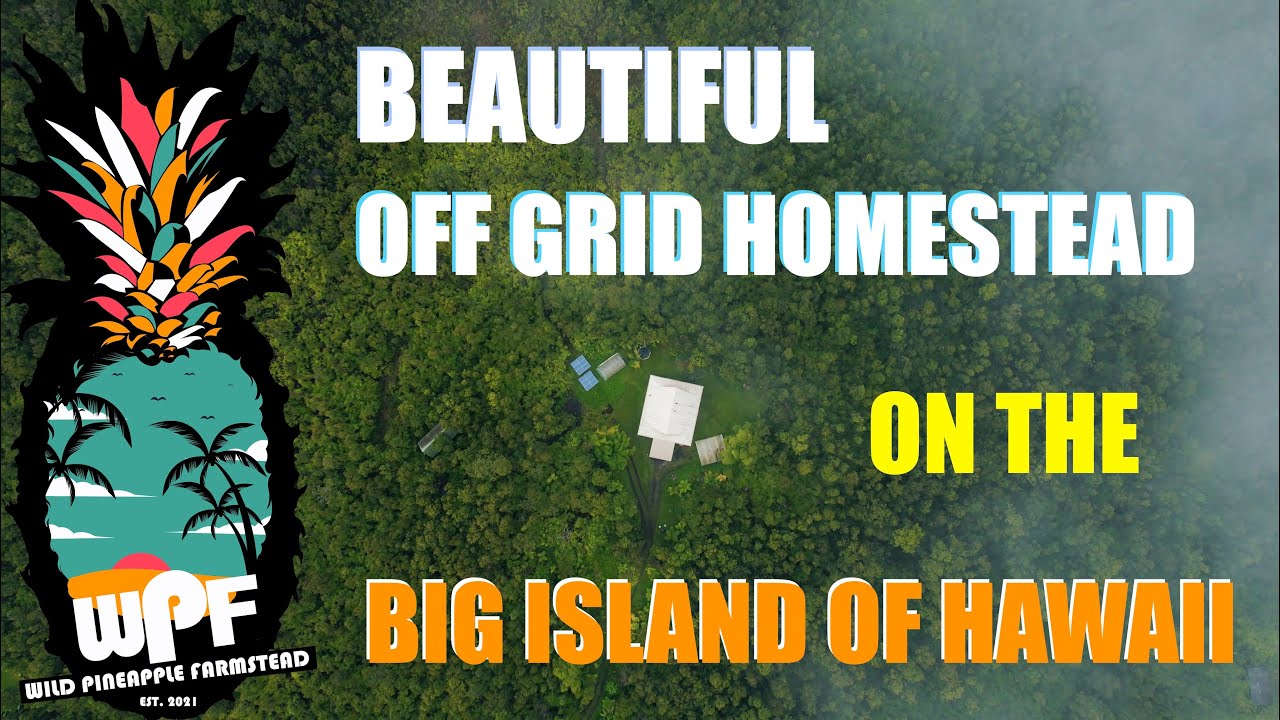 Our 20 Acre Off Grid Homestead on the Big Island of Hawaii