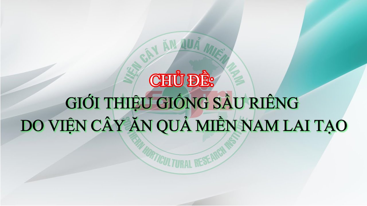 Kỳ 1. Giới Thiệu Giống Sầu Riêng Do Viện Cây Ăn Quả Miền Nam Lai Tạo