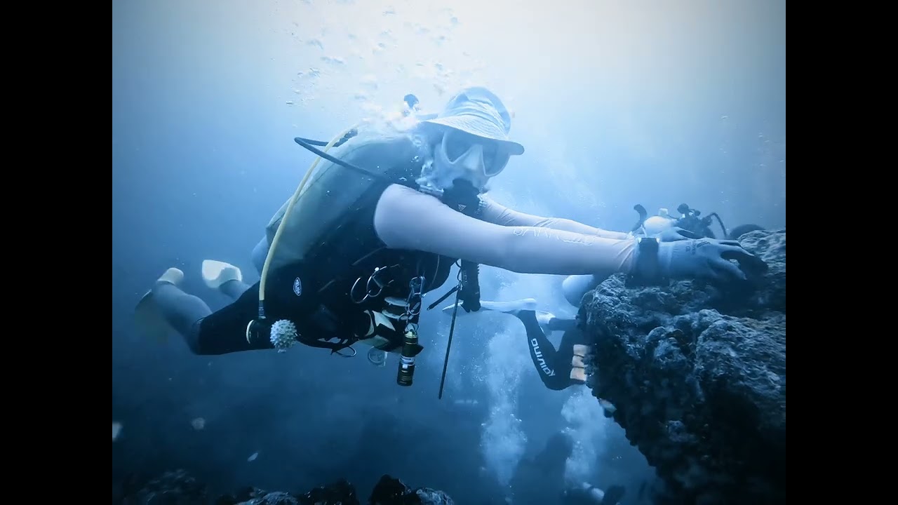 Sabang beach canyon Scuba diving(@dominicann0831 )