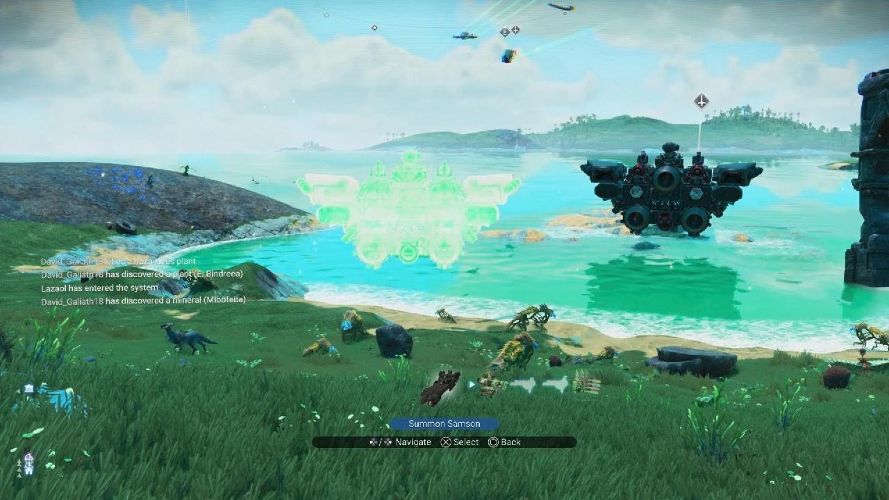 Pirate Vette