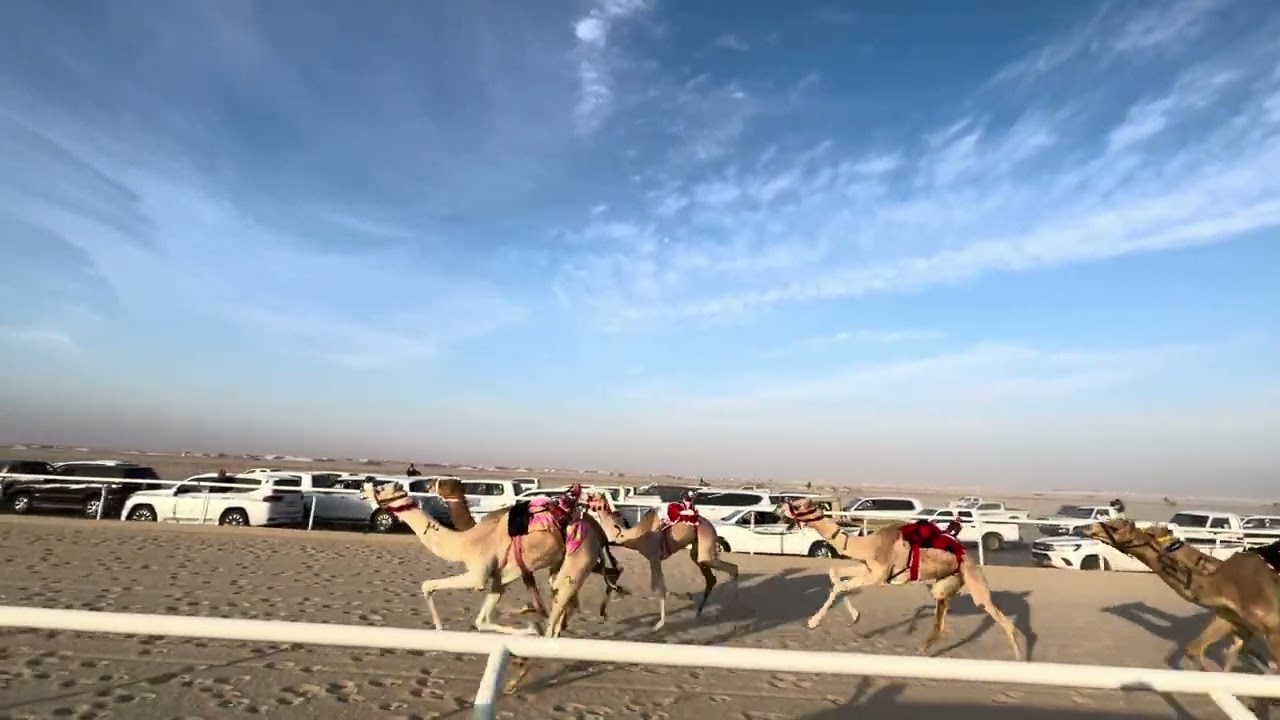 ١ الغزيل ملك محمد بن علي بن عايض