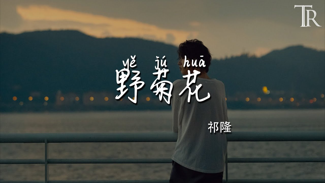 野菊花 - 祁隆『ye ju hua  - qi long』 #無損音樂