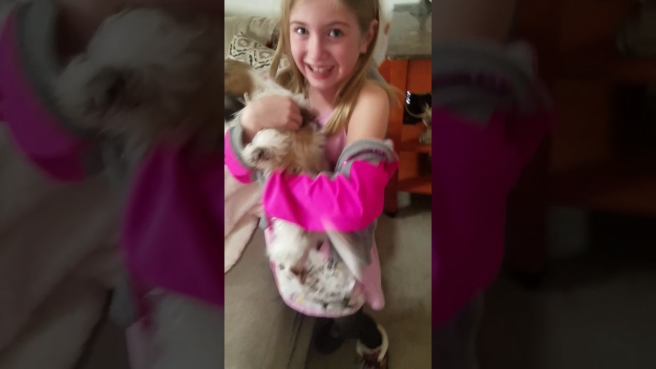Gabby gets her first puppy! Tears!